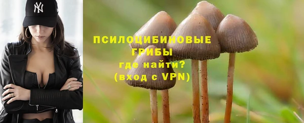 дмт Бугульма