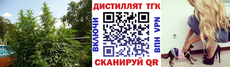 ТГК гашишное масло Гремячинск