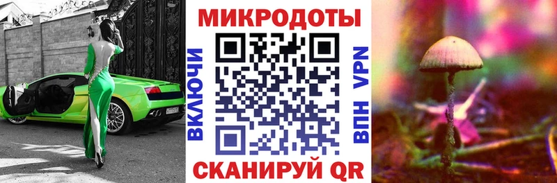 Псилоцибиновые грибы ЛСД где найти Гремячинск